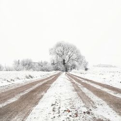 Bare trees on snow covered field