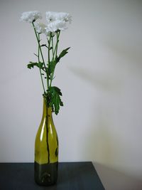 White chrysanthemums in bottle on table against wall