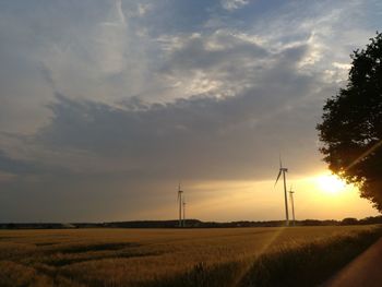 Scenic view of field against sky during sunset