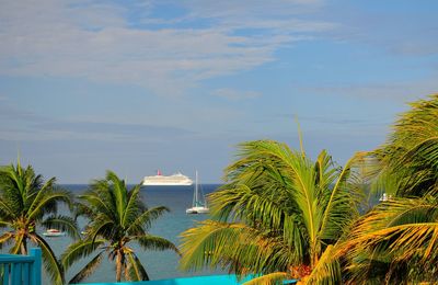Palm trees by sea against sky