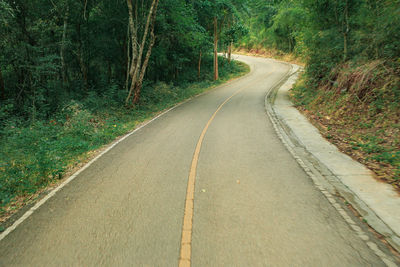 Empty road amidst trees in forest