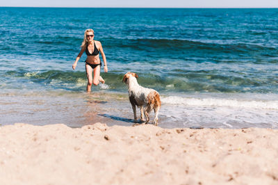 Woman in bikini with dog on shore at beach