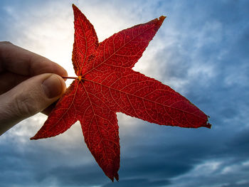 Close-up of hand holding maple leaf against cloudy sky