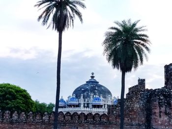 Palm trees and buildings against sky