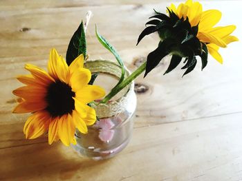 High angle view of yellow flower in vase on table