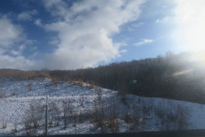 Trees on snow covered land against sky