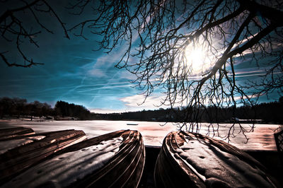 Panoramic view of bare trees against sky