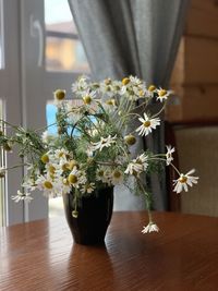 Close-up of potted plant on table at home