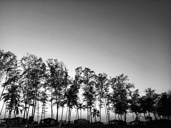 Low angle view of silhouette trees against clear sky