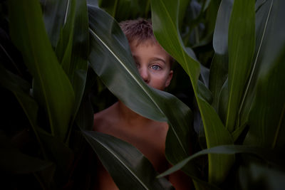 Portrait of boy amidst crops on agricultural field