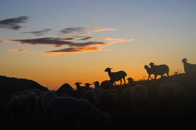 Silhouette people against sky during sunset