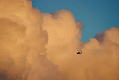 Low angle view of airplane flying against sky during sunset