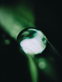 Close-up of water drop on leaf