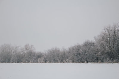 Trees on field against clear sky during winter