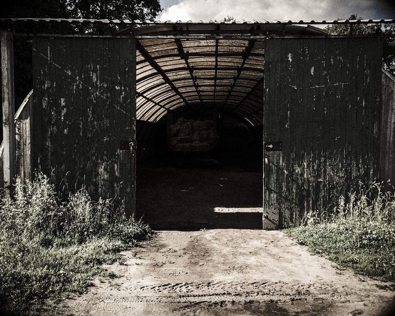 the way forward, built structure, architecture, plant, building exterior, empty, day, diminishing perspective, sunlight, no people, abandoned, house, wall - building feature, outdoors, growth, walkway, absence, pathway, narrow, footpath