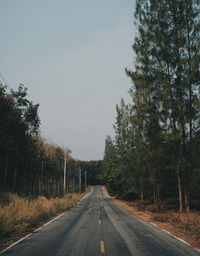 Empty road along trees