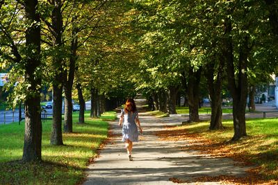 Rear view of woman walking amidst trees on footpath at park