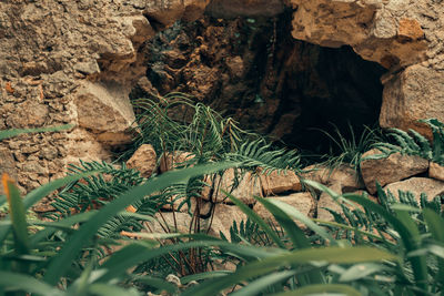 Close-up of rock formations