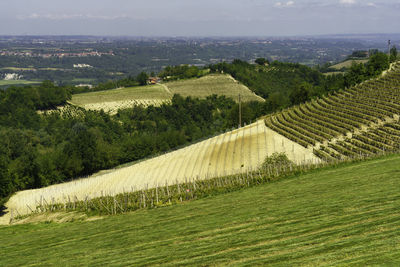 High angle view of agricultural field against sky