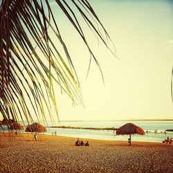 Scenic view of beach against clear sky