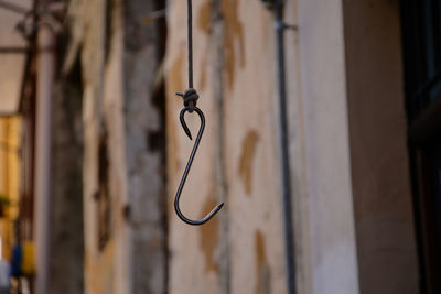 Close-up of hanging outdoors