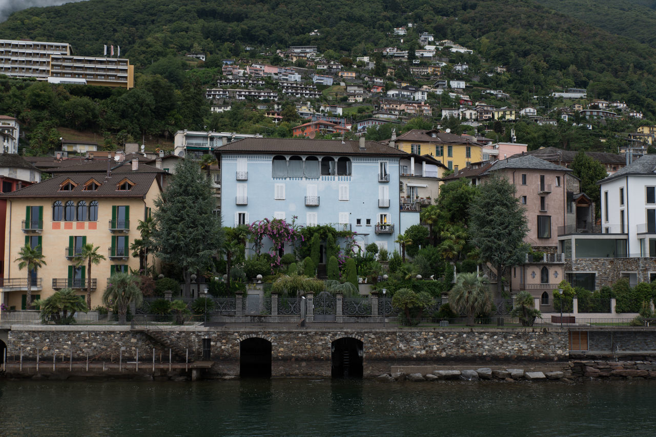 architecture, built structure, water, building exterior, building, tree, plant, waterfront, nature, residential district, day, no people, house, outdoors, river, city, connection, reflection