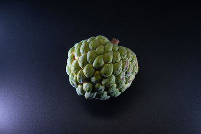 Close-up of pine cone on table