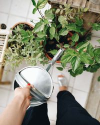 High angle view of woman watering plants