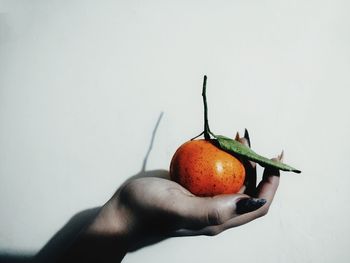 Cropped hand holding fruit against white background