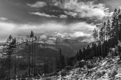 Scenic view of snow covered land against sky