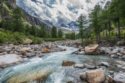 Scenic view of stream flowing through rocks in forest