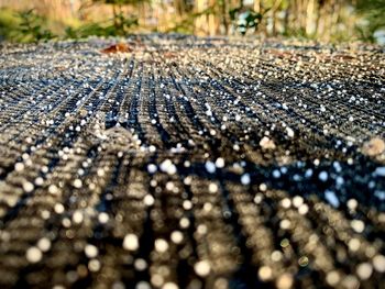 Close-up of wet stones on land