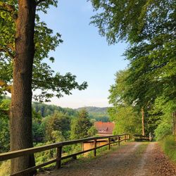 Road by trees against sky