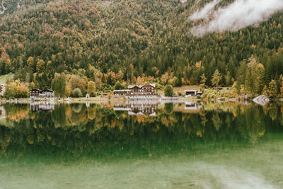 Scenic view of lake in forest