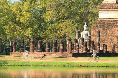 Trees by built structure