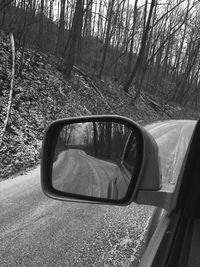 Reflection of trees in side-view mirror