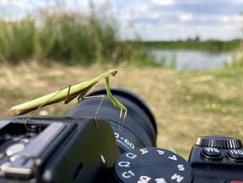 Close-up of insect on camera