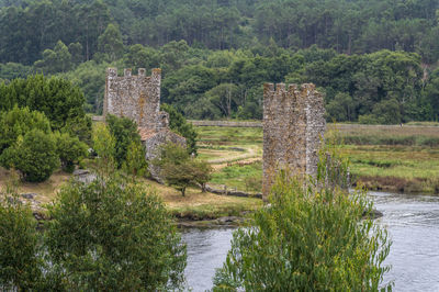 Scenic view of river amidst trees