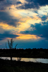 Silhouette bare trees on field against sky during sunset