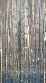 Full frame shot of wood in forest