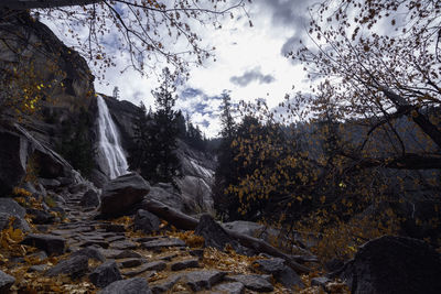 Low angle view of waterfall in forest against sky