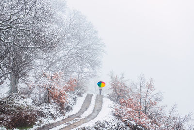 Back view of anonymous person under colorful umbrella walking along road in winter park on snowy day in pyrenees