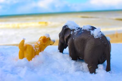 Animal figurines on snow at beach