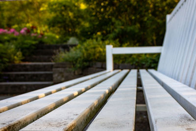 Footpath by railing in yard