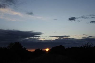 Low angle view of silhouette trees against sky at sunset