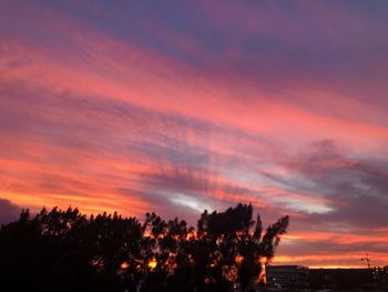 Low angle view of silhouette trees against dramatic sky