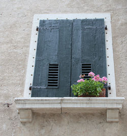 Flower window