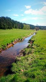 Scenic view of river amidst field against sky