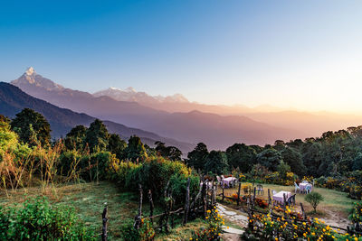 Scenic view of field against sky during sunset