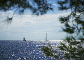 Sailboats on sea against sky